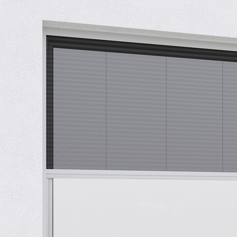 En el marco de la ventana