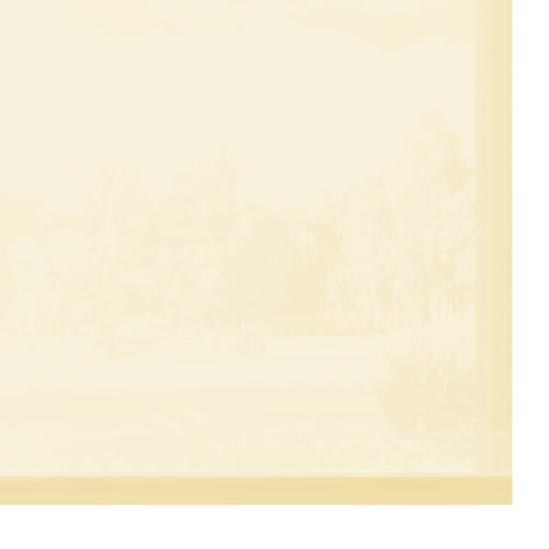 KB-002 crema - transparente