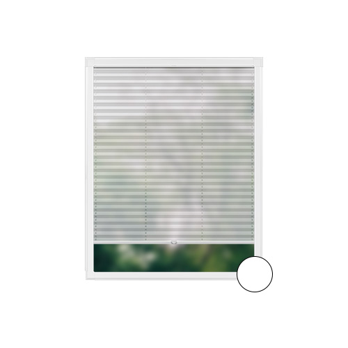 Transparente